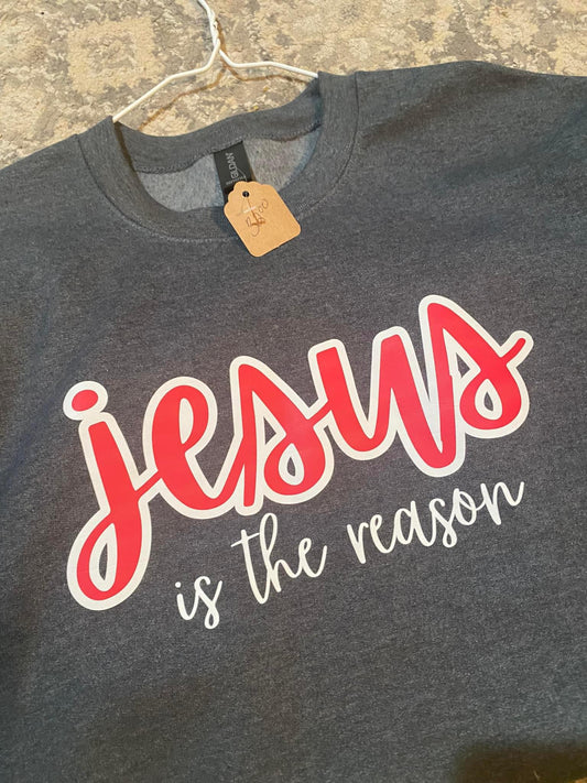 Jesus is the reason sweatshirt - large